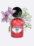 les-folies-du-parfum-prodotti-bx-artistica-001-opt.jpg