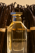 Note of Galb v4.png