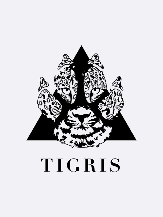 les-folies-du-parfum-tigris-artistica-logo-opt.jpg